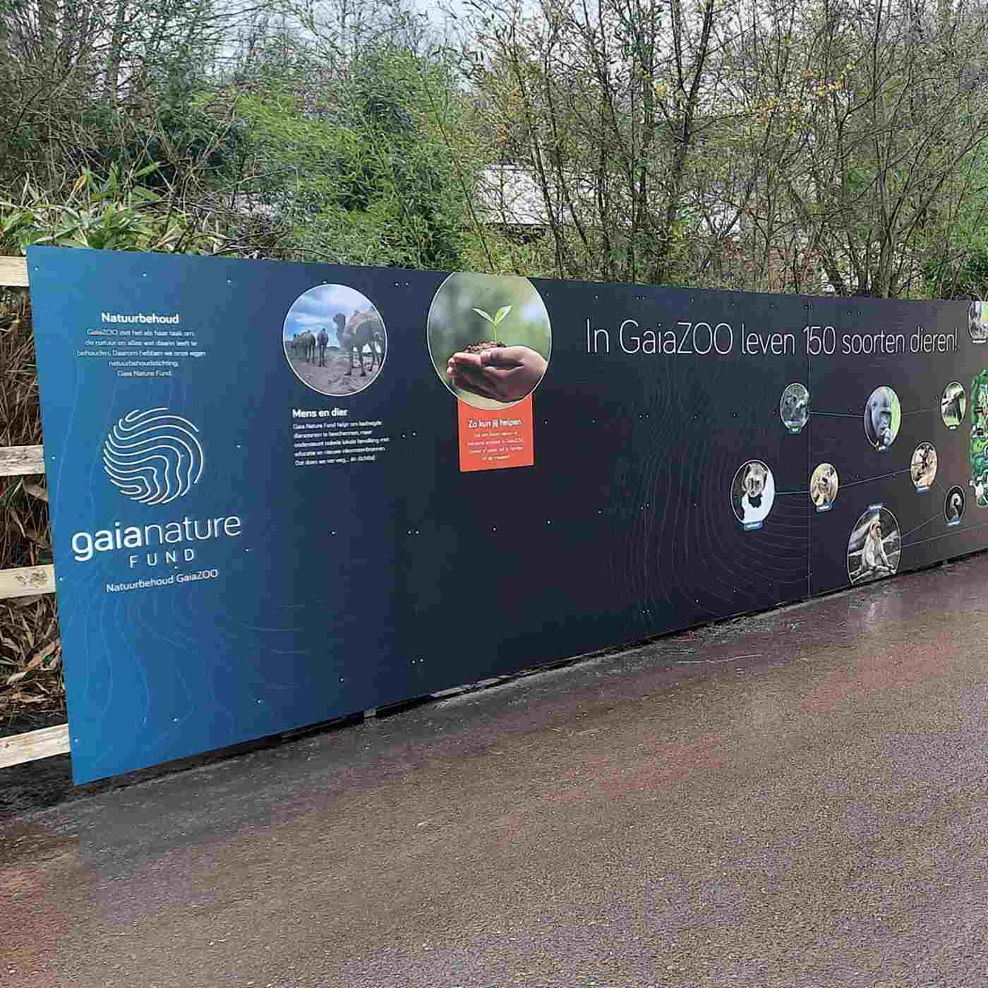 M Series with Grey Adhesive